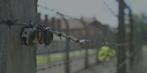 Auschwitz- Brikenau Concentration Camp view from the wall